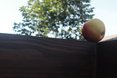 An apple with Rule of Thirds grid