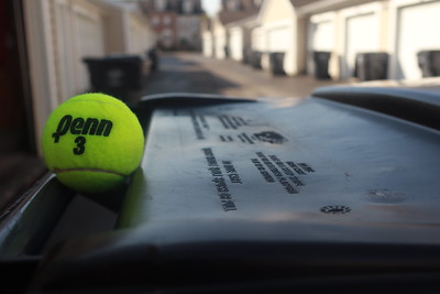 Butterfly in focus with shallow depth of field, background blurred